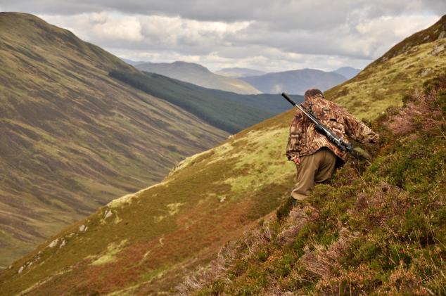 Embrace the Wild: Why Try Backcountry Hunting