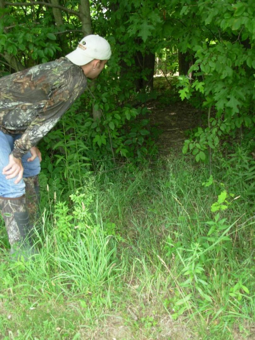 Preseason Prep for Whitetails Part 1: Identify New Bedding Cover
