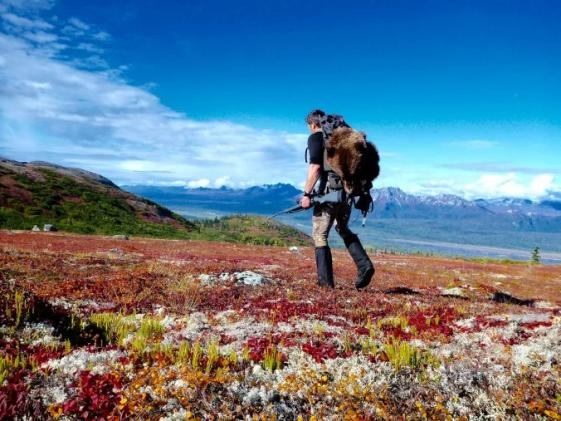 The Thrilling Hunt for Alaska's Grizzly Bears