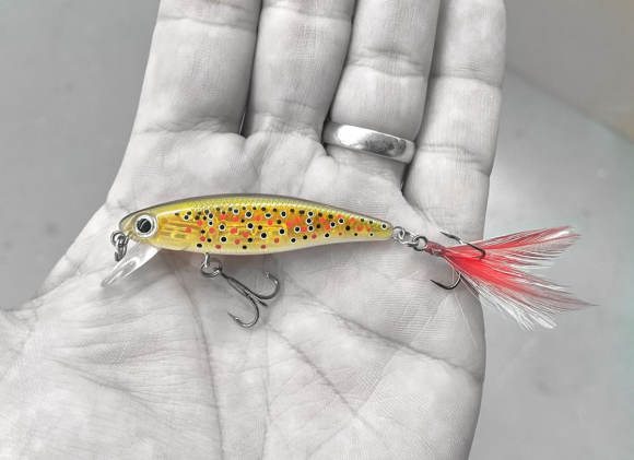 Trout Bait Top 4 Picks for Summer Fishing Fun